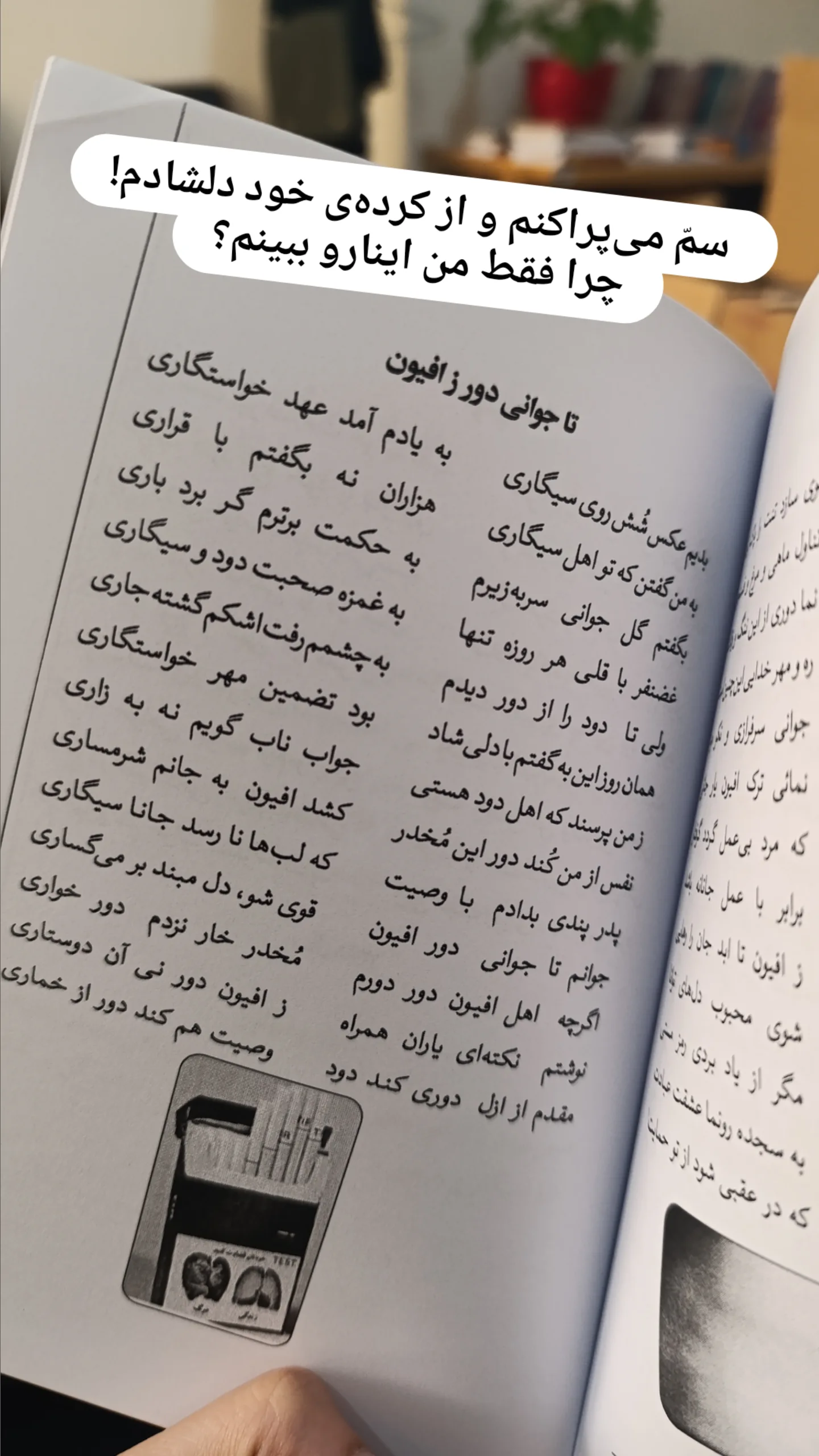  جدید ترین استوری اینستاگرام رباب کلامی