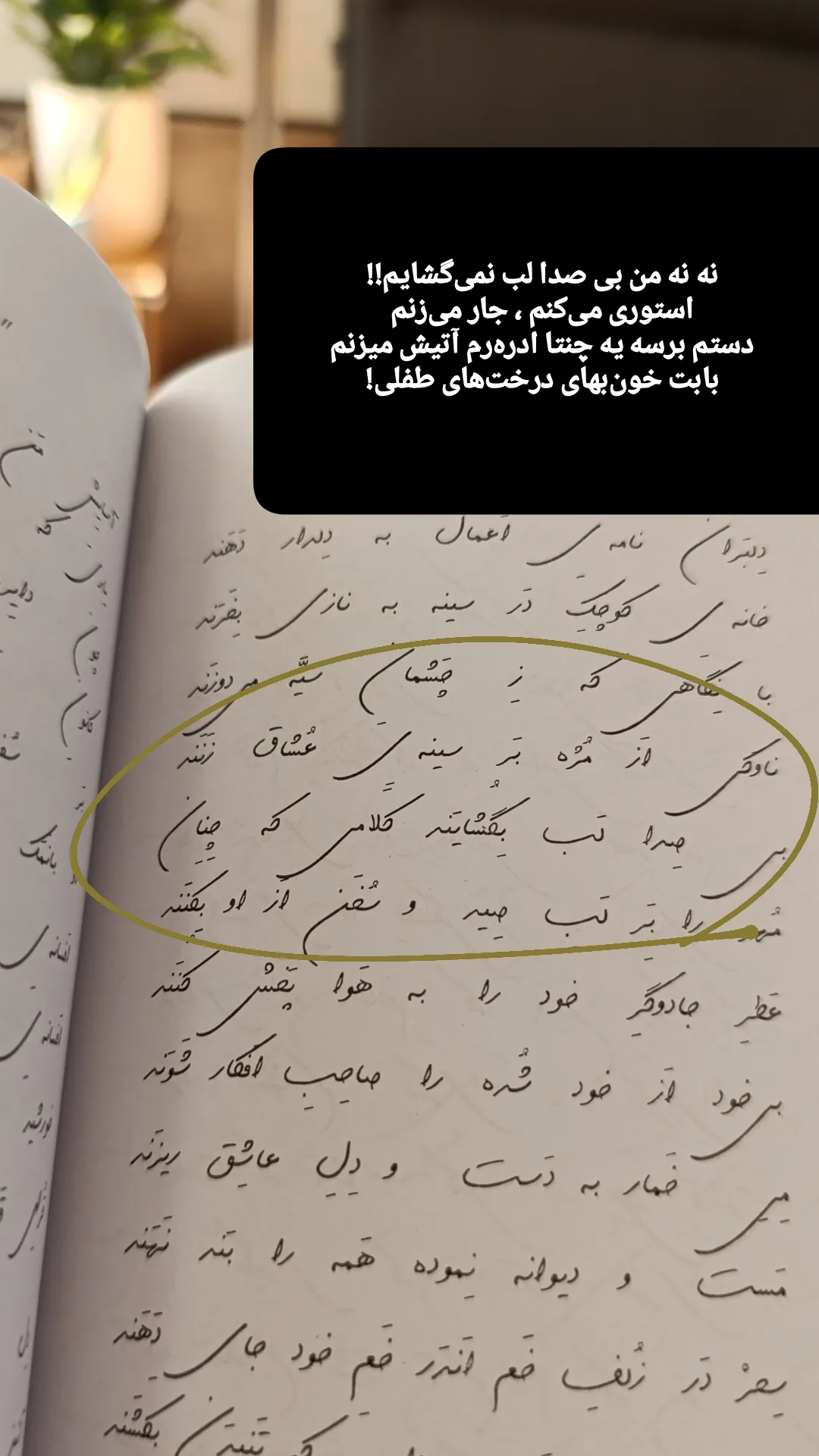  جدید ترین استوری اینستاگرام رباب کلامی