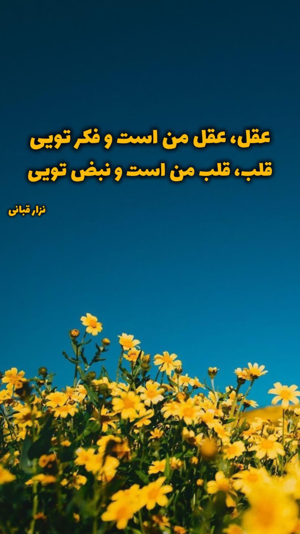  جدید ترین استوری اینستاگرام راغب