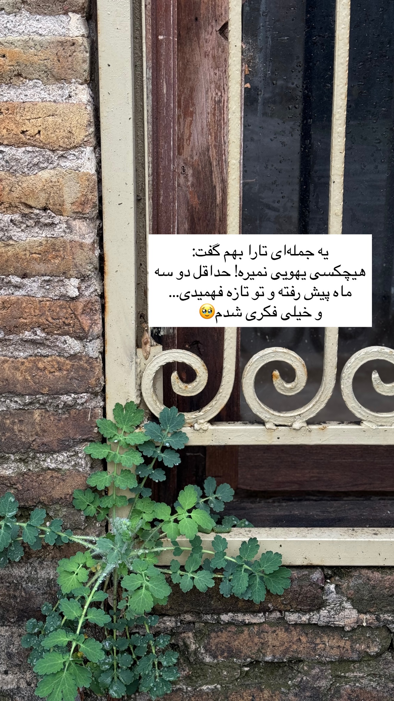  جدید ترین استوری اینستاگرام رهای