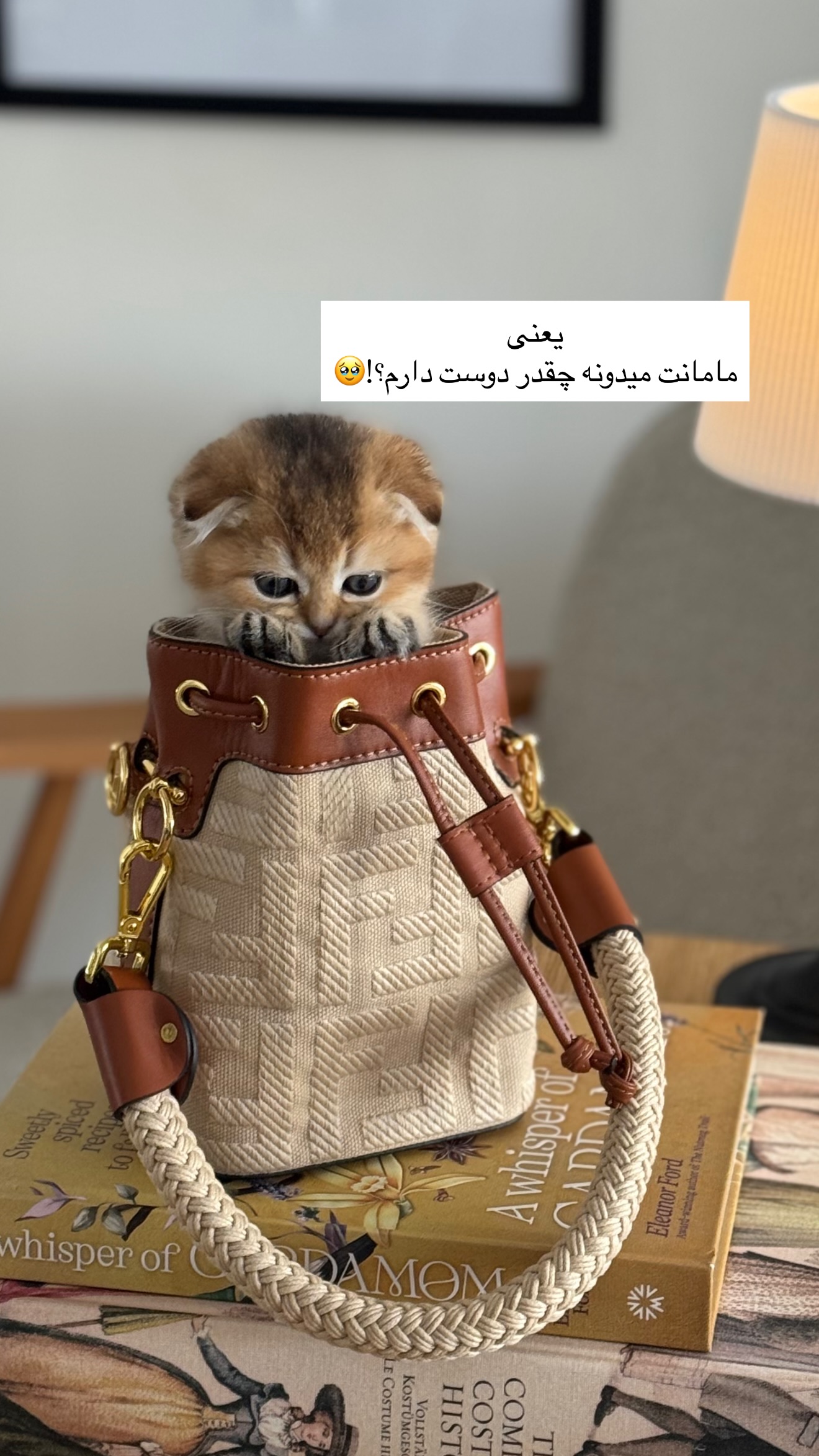  جدید ترین استوری اینستاگرام رهای
