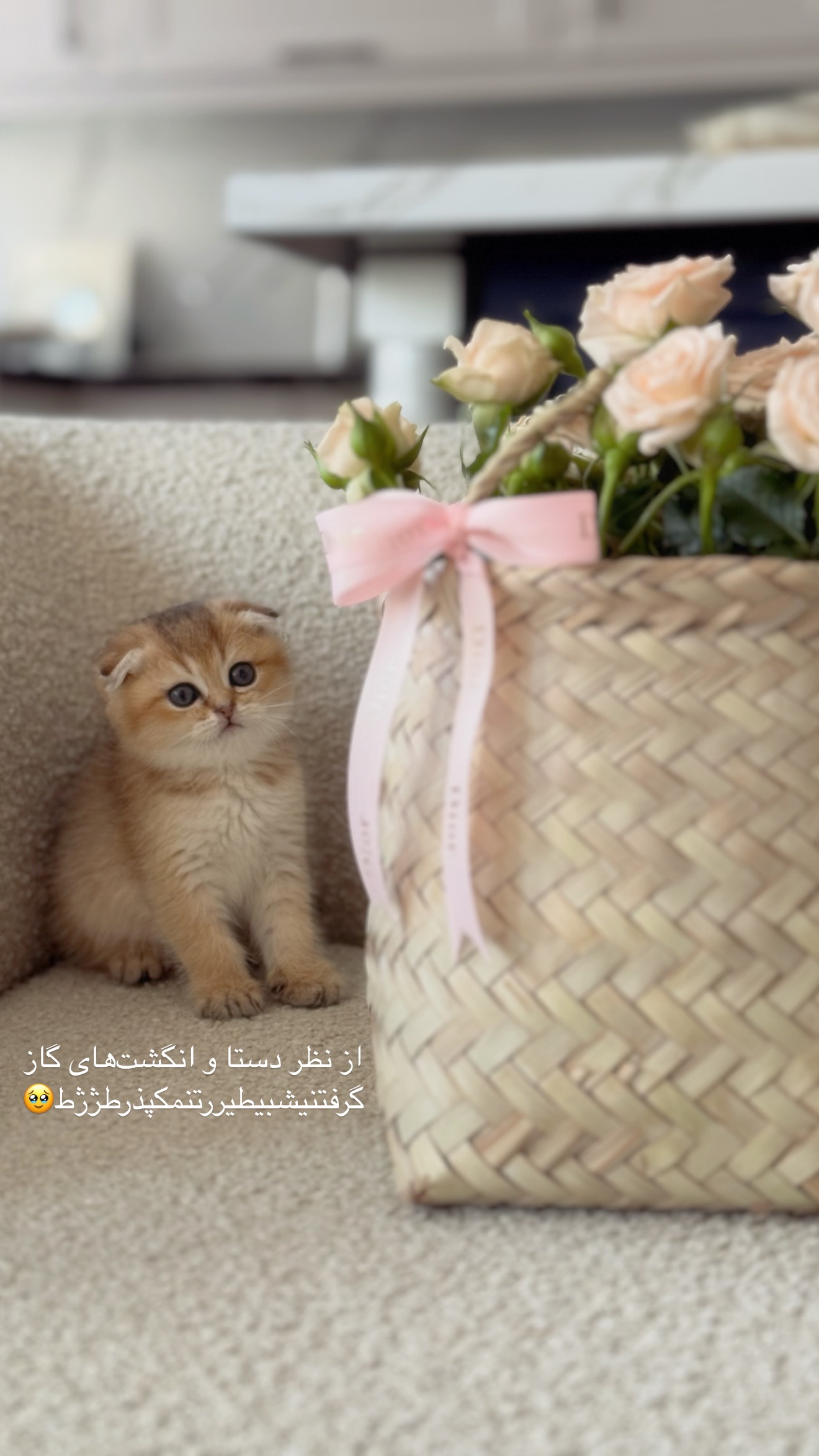 جدید ترین استوری اینستاگرام رهای