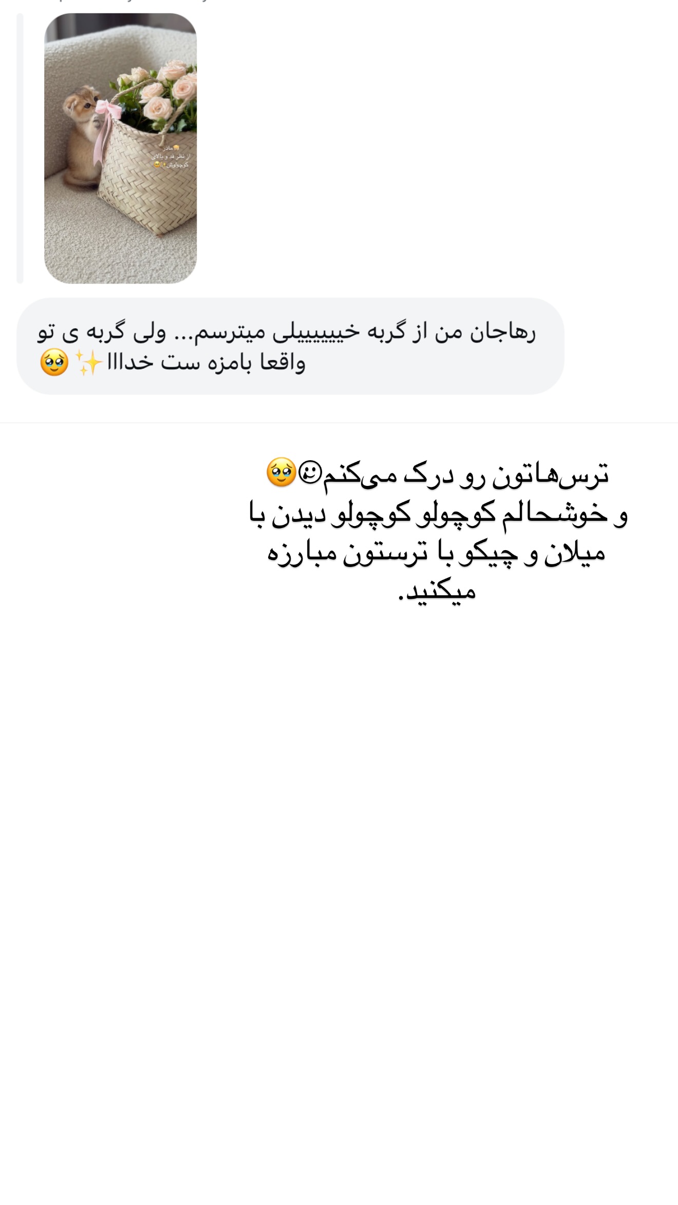  جدید ترین استوری اینستاگرام رهای