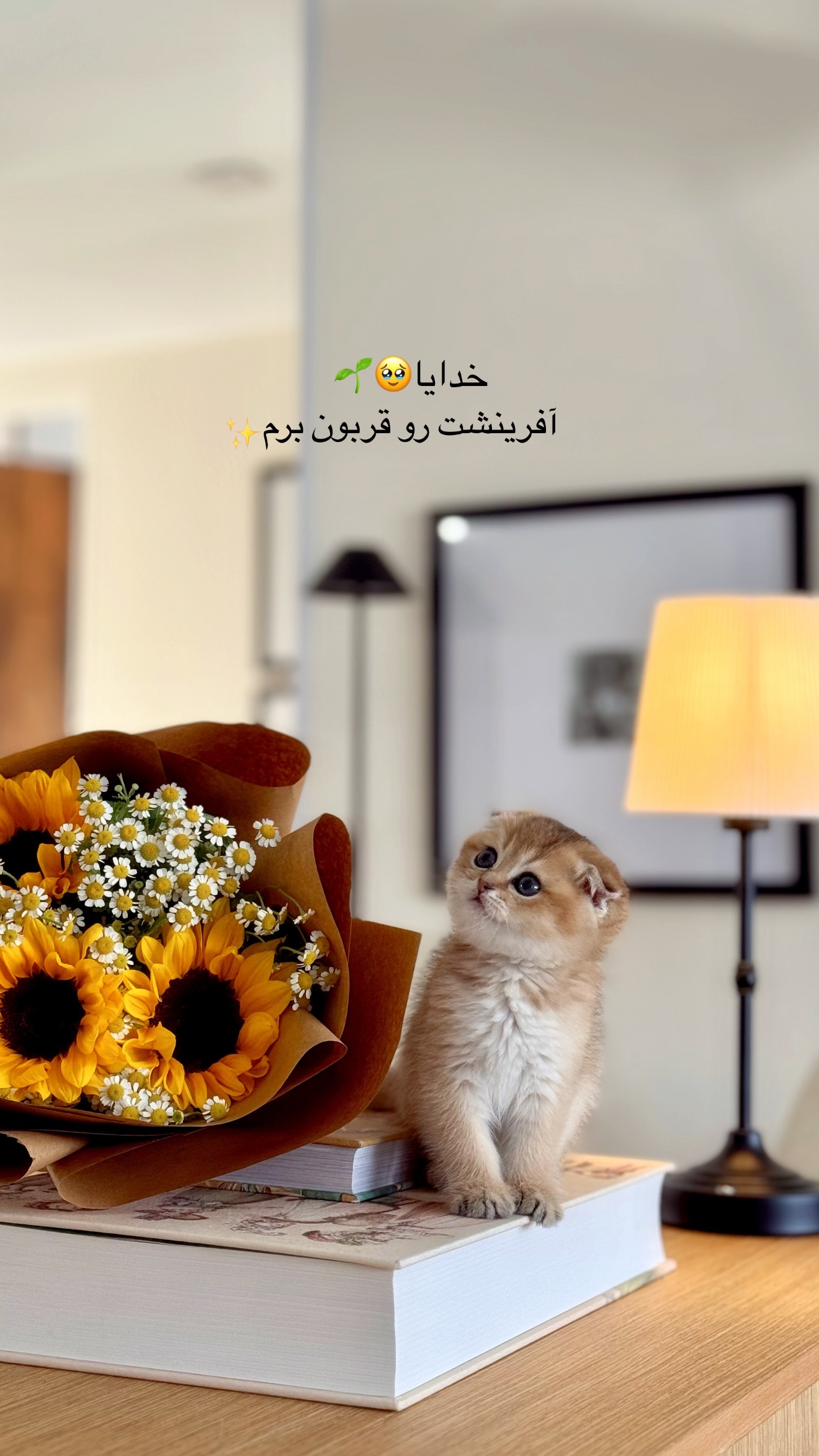  جدید ترین استوری اینستاگرام رهای