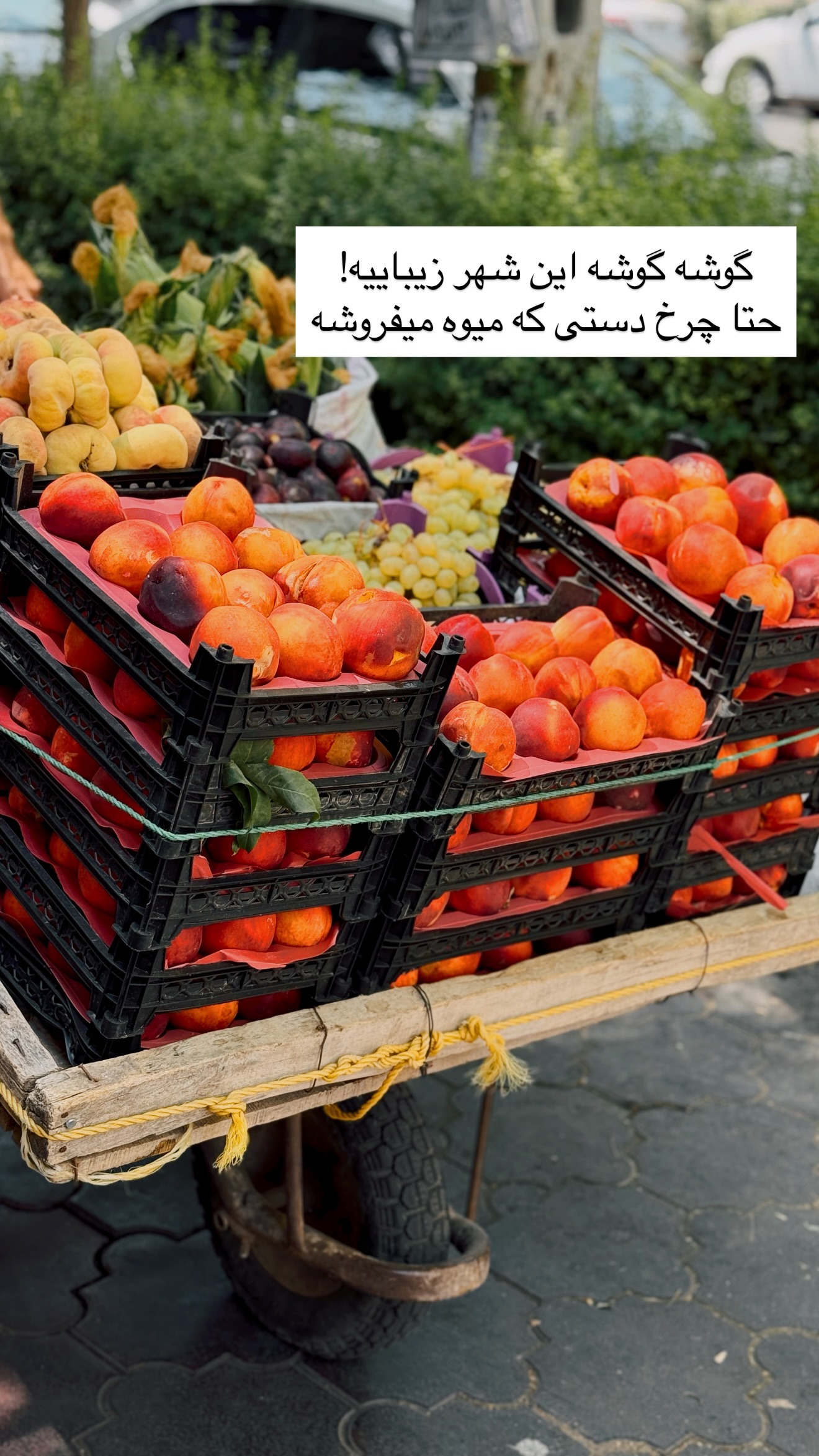  جدید ترین استوری اینستاگرام رهای