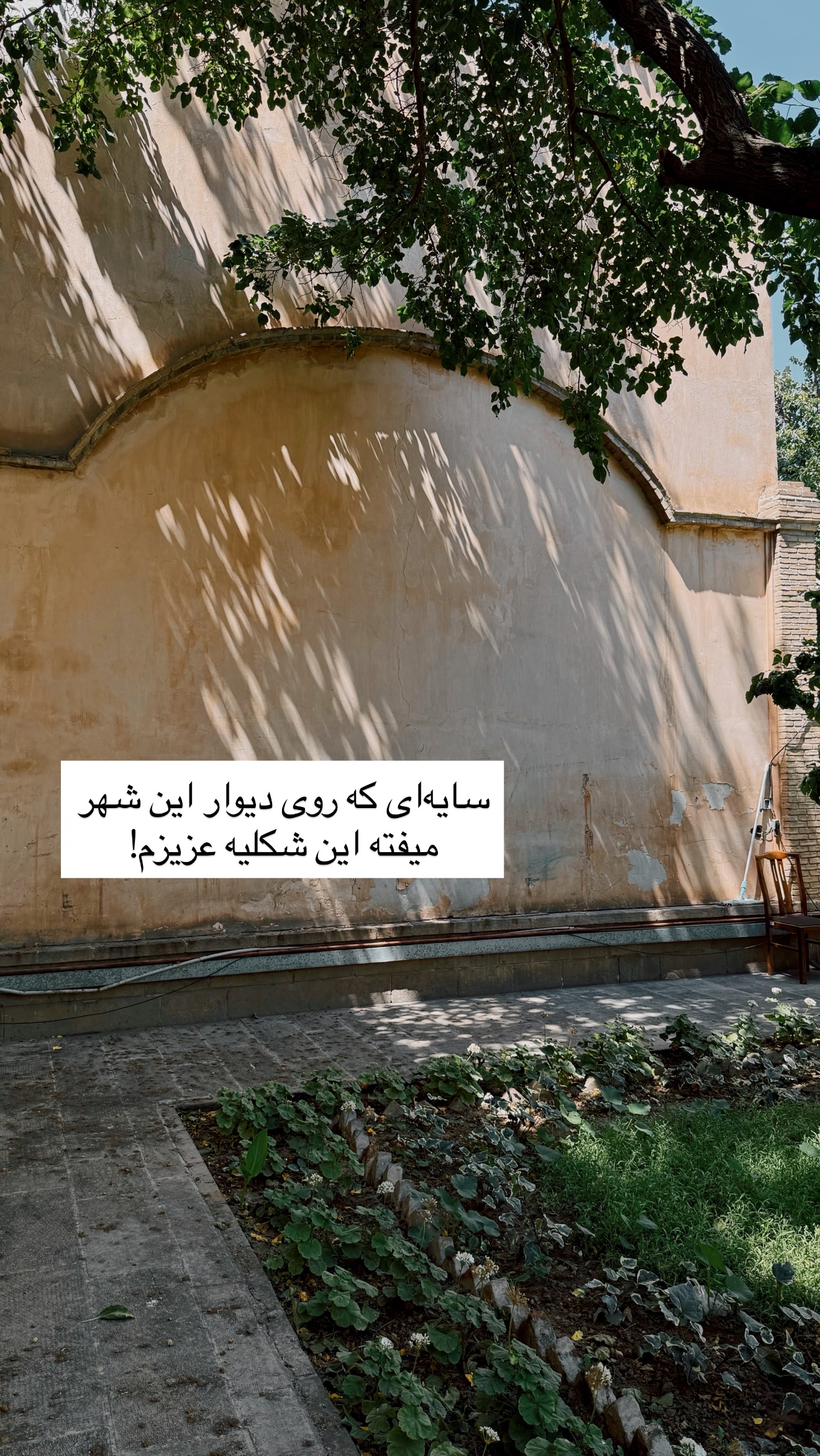  جدید ترین استوری اینستاگرام رهای