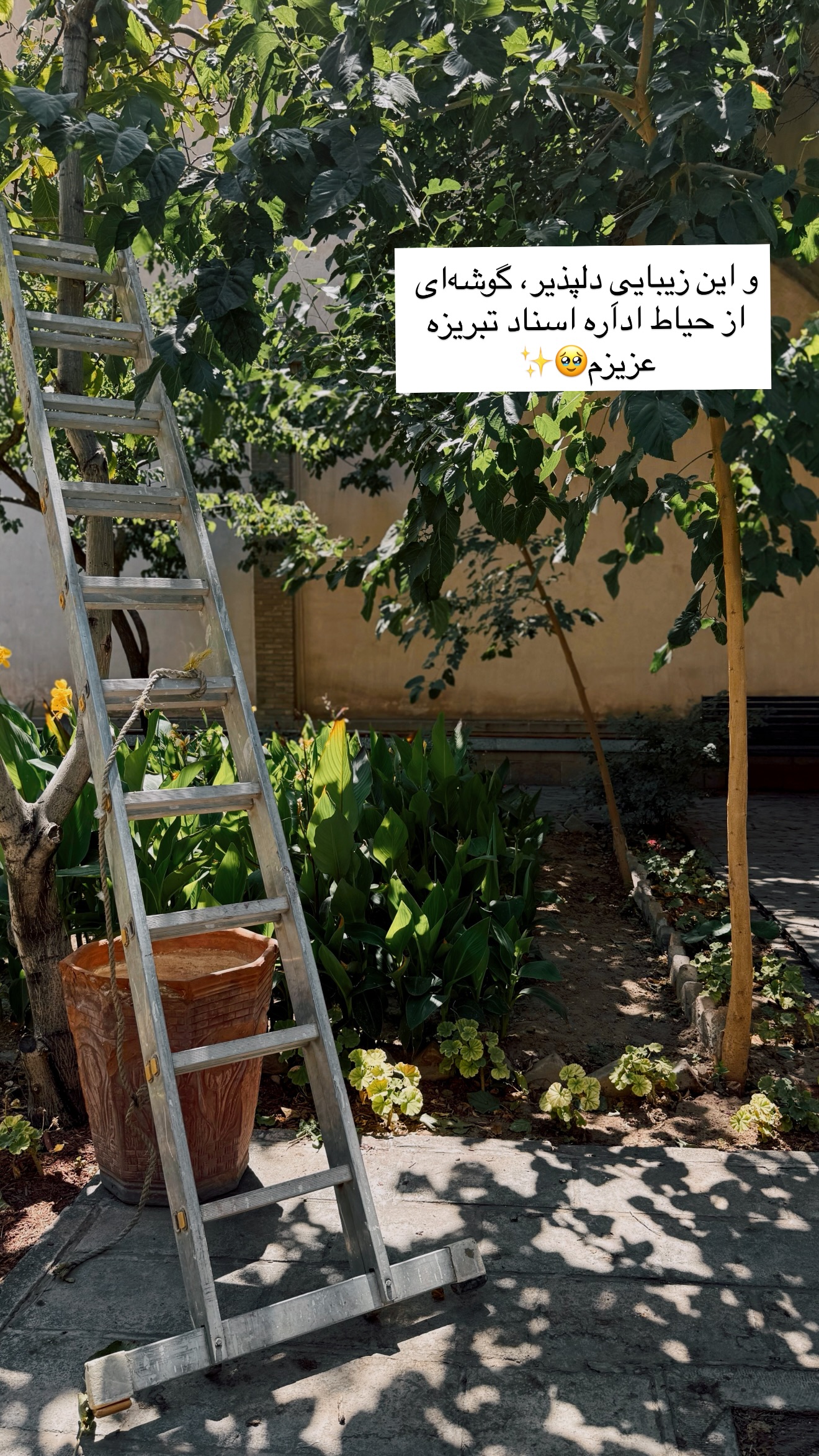  جدید ترین استوری اینستاگرام رهای