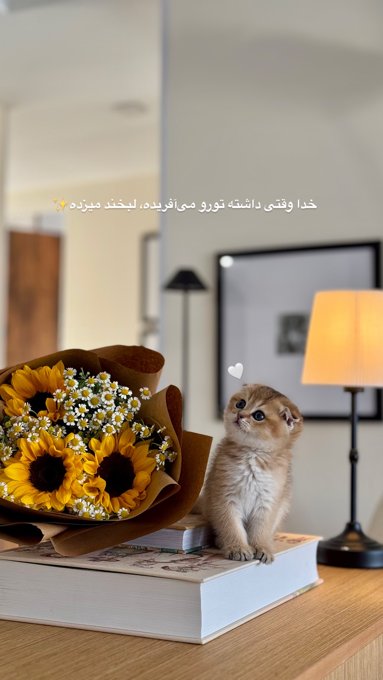  جدید ترین استوری اینستاگرام رهای