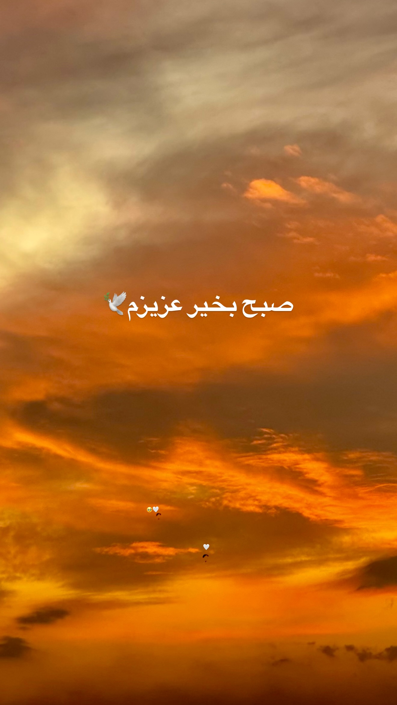  جدید ترین استوری اینستاگرام رهای