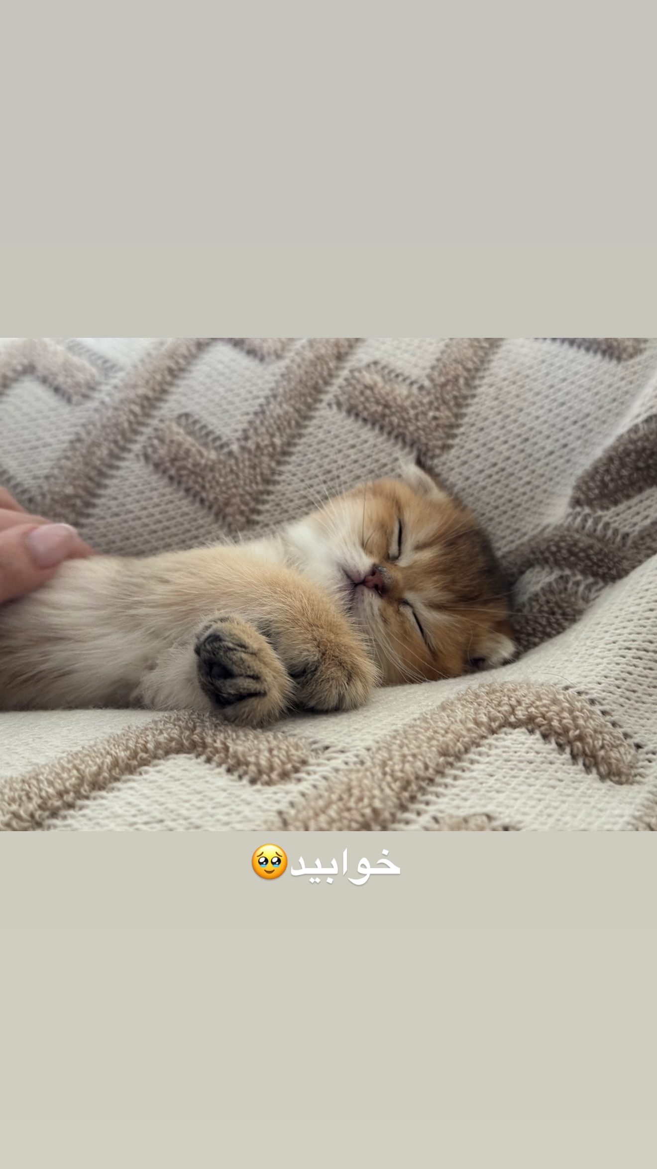  جدید ترین استوری اینستاگرام رهای