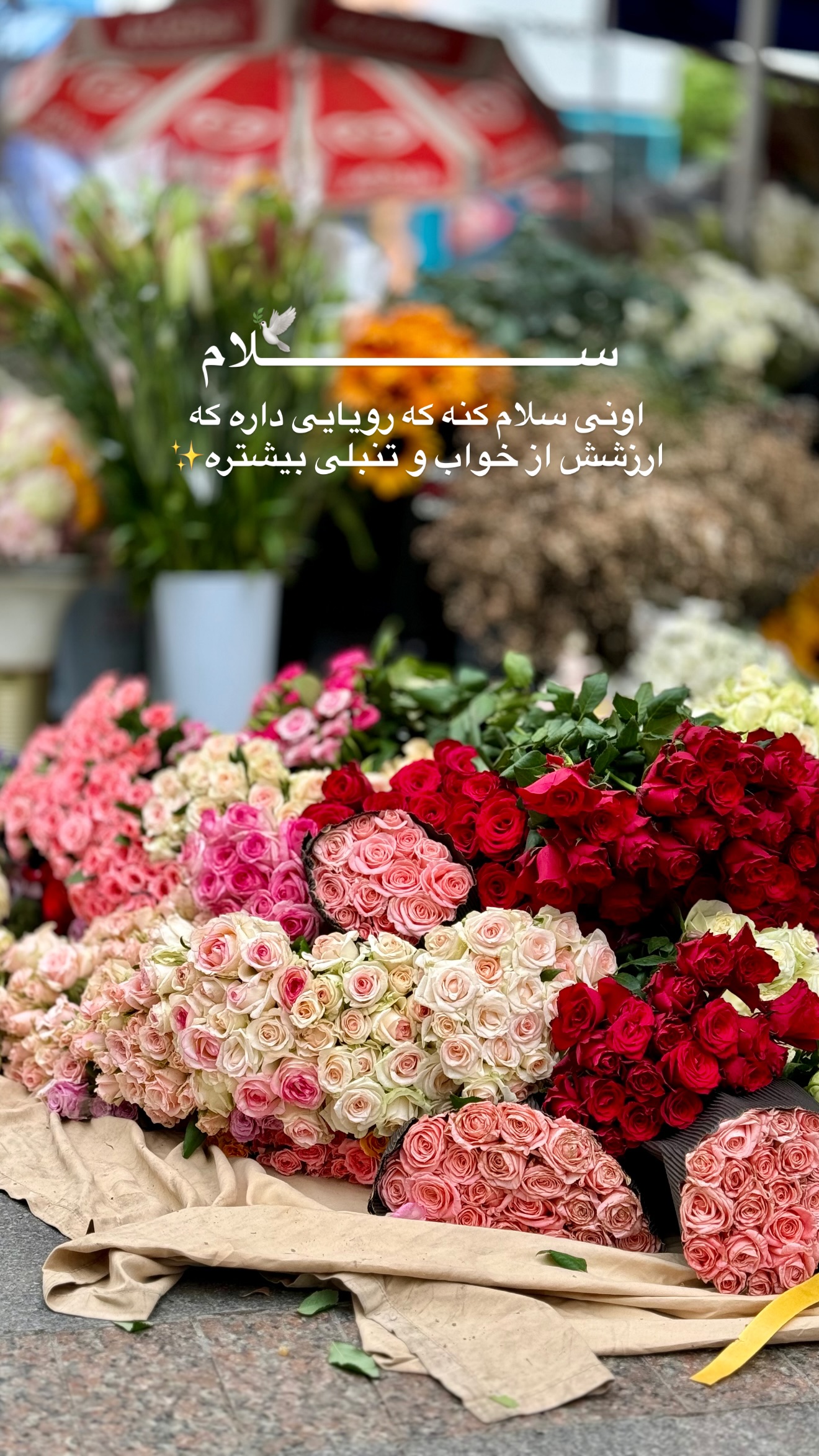  جدید ترین استوری اینستاگرام رهای