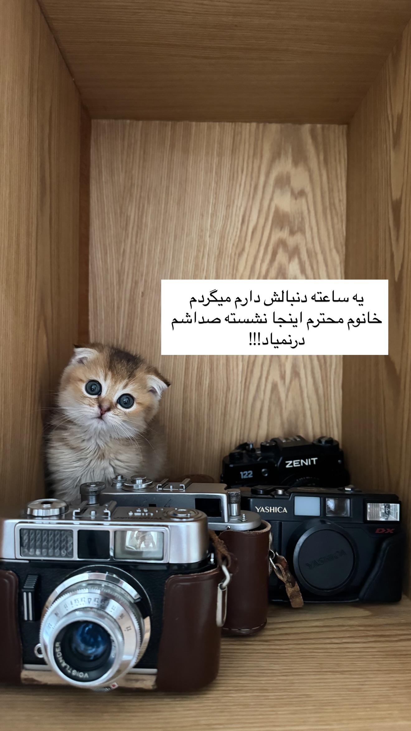  جدید ترین استوری اینستاگرام رهای