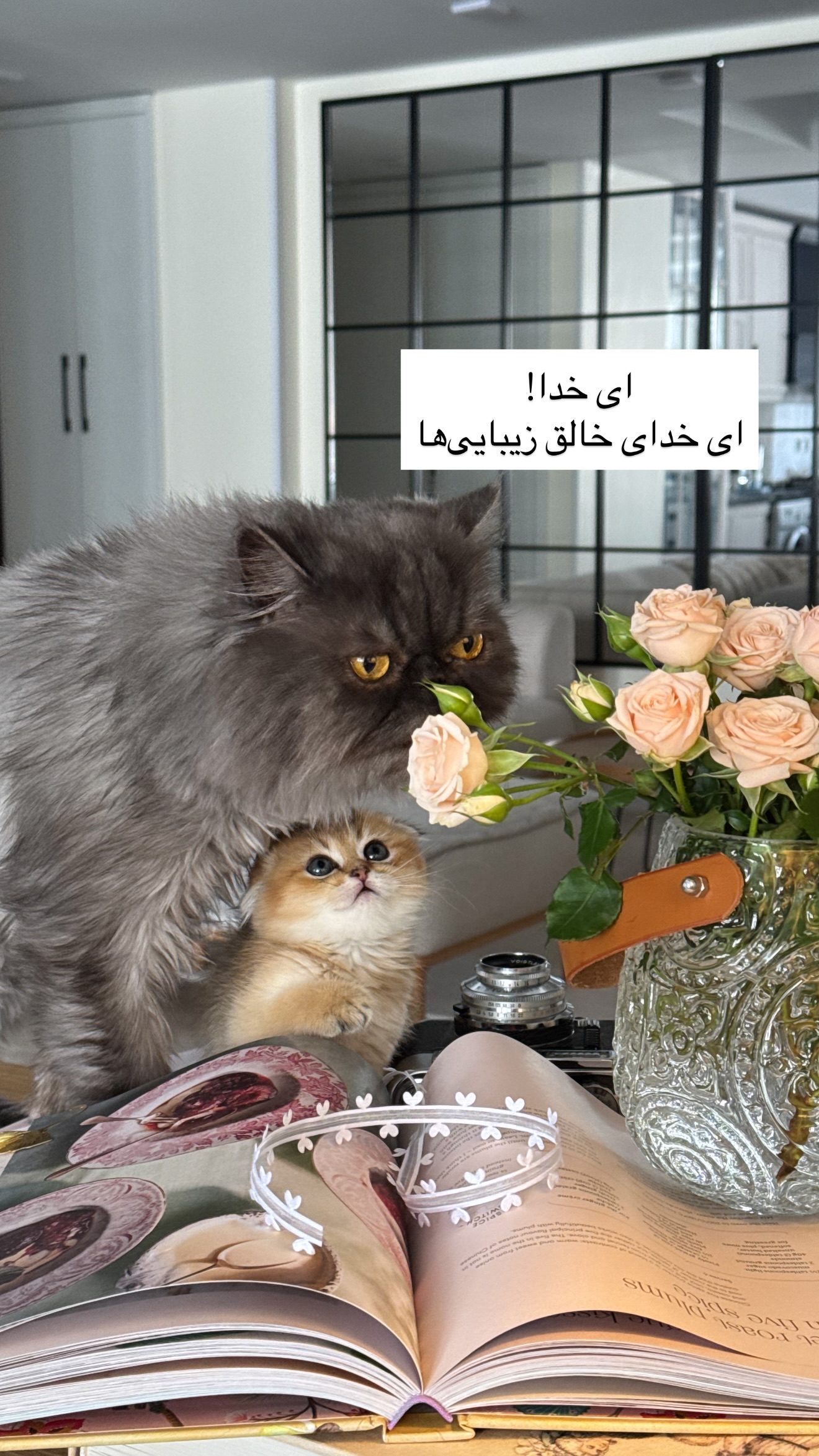  جدید ترین استوری اینستاگرام رهای