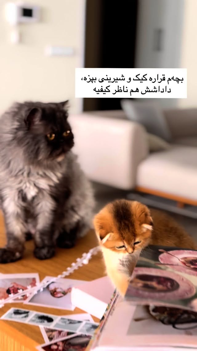  جدید ترین استوری اینستاگرام رهای