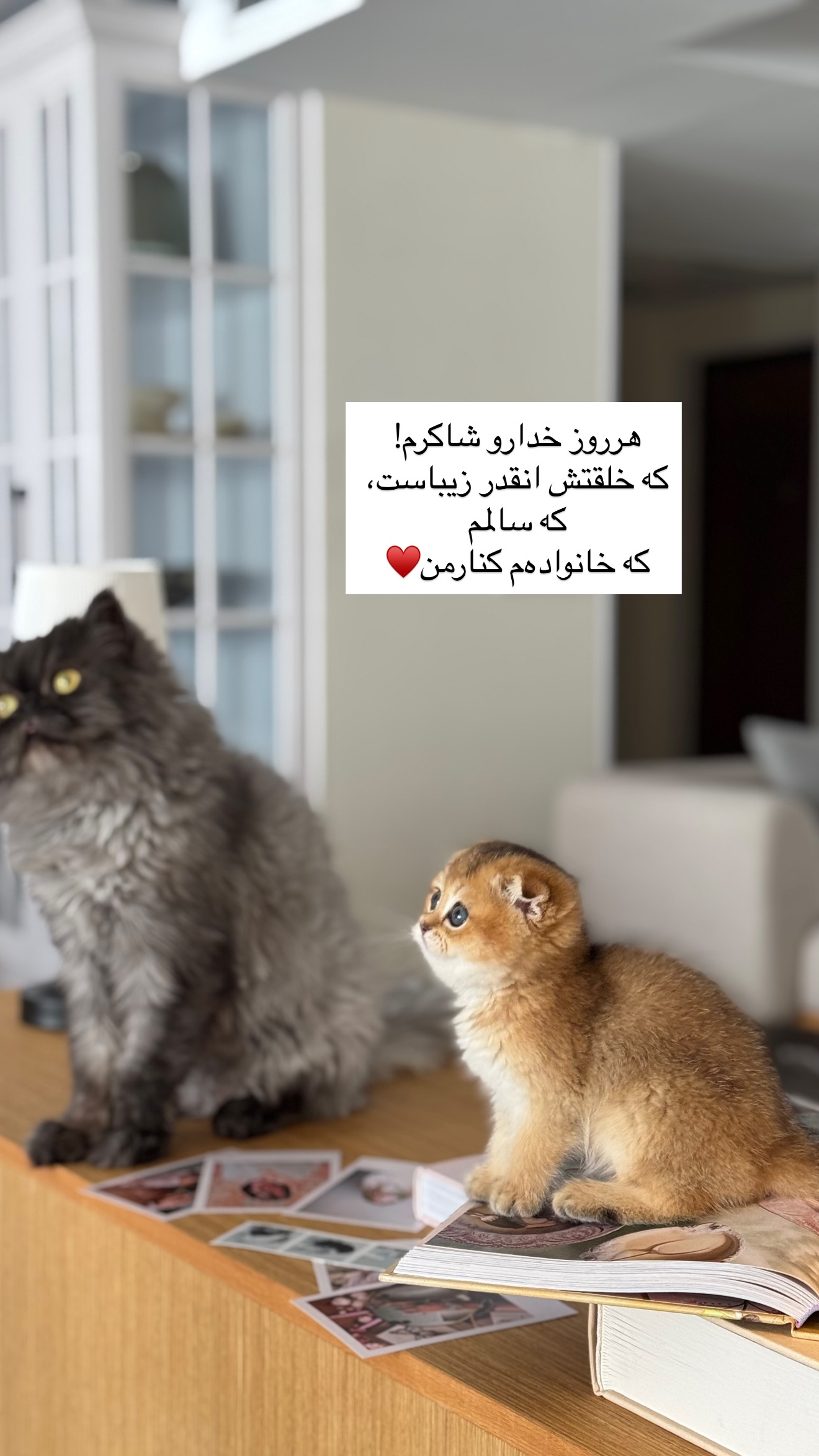  جدید ترین استوری اینستاگرام رهای