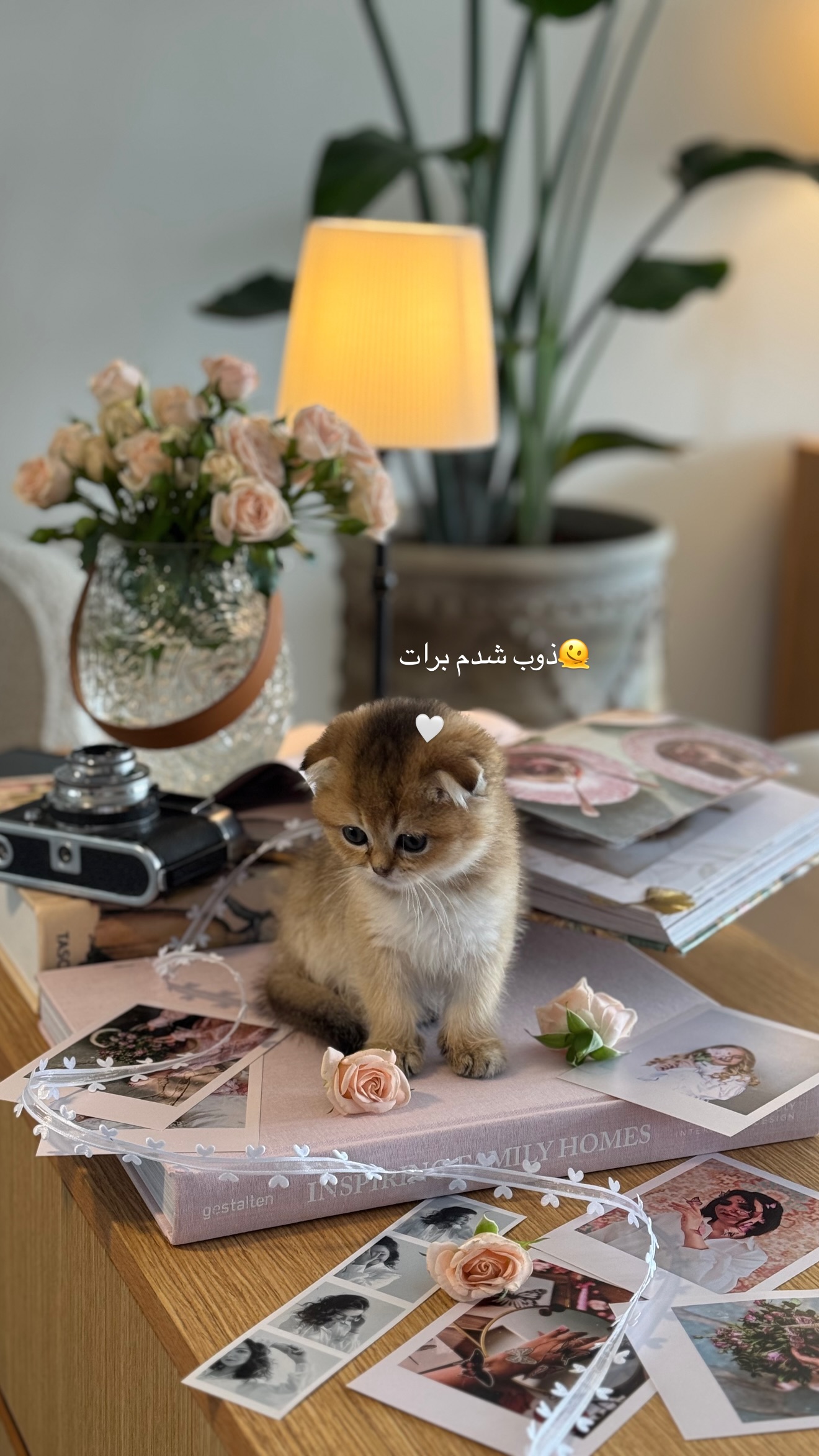  جدید ترین استوری اینستاگرام رهای