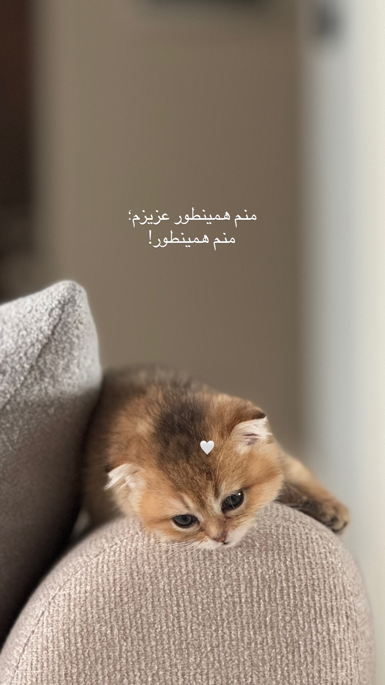  جدید ترین استوری اینستاگرام رهای