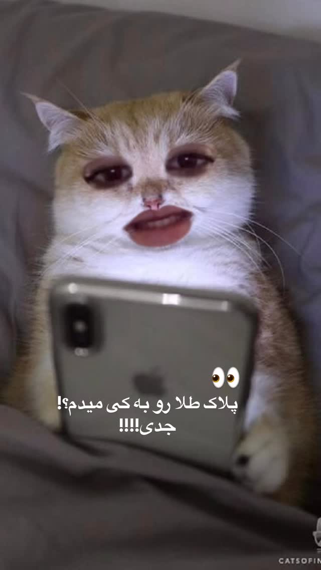  جدید ترین استوری اینستاگرام رهای