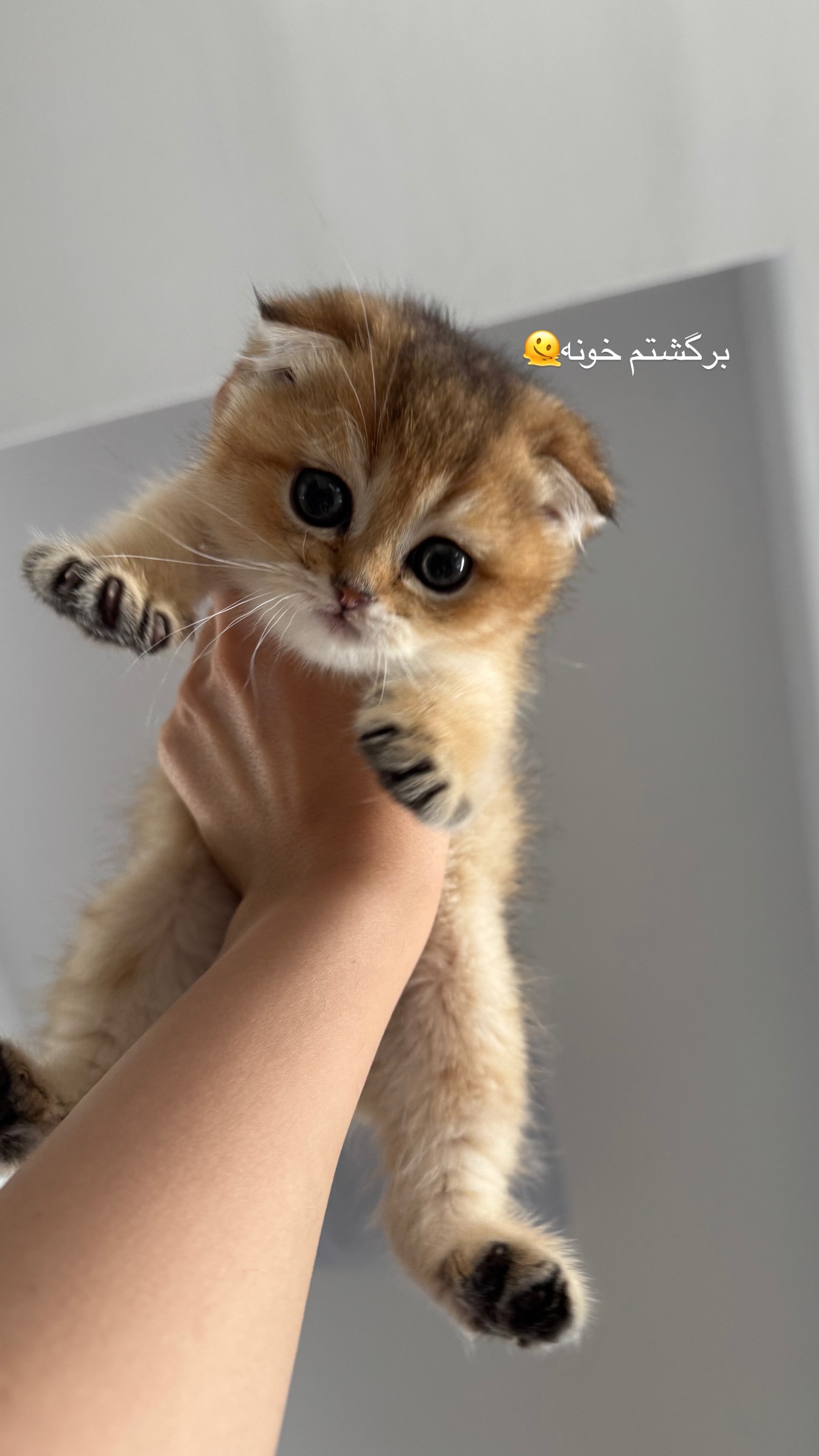  جدید ترین استوری اینستاگرام رهای