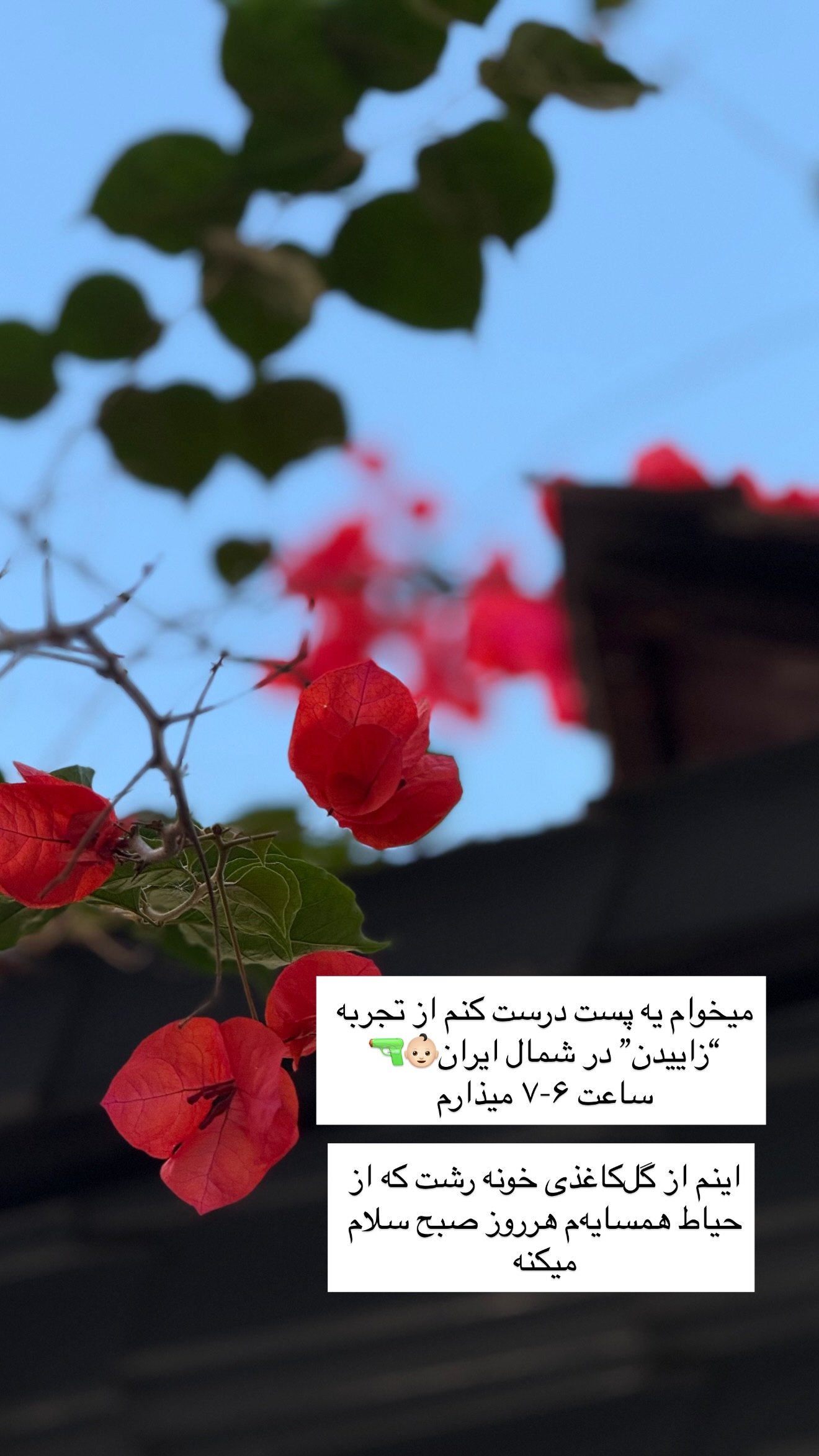  جدید ترین استوری اینستاگرام رهای