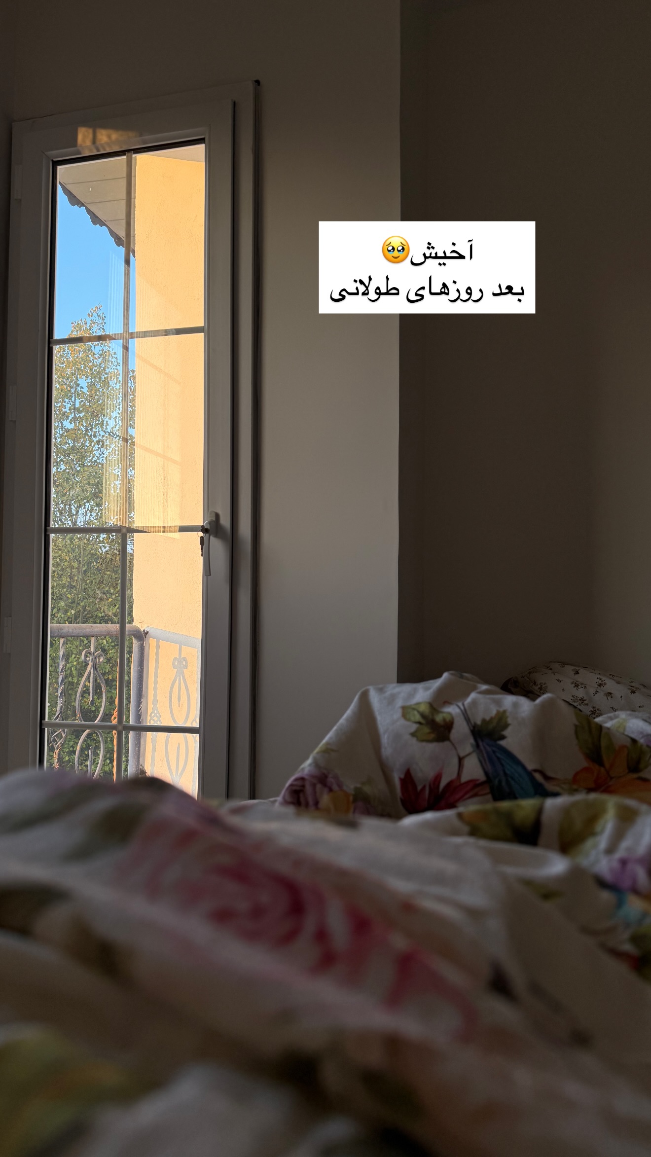  جدید ترین استوری اینستاگرام رهای