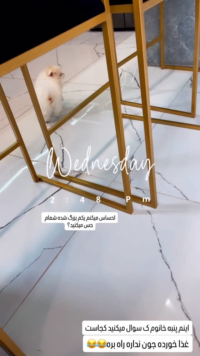  جدید ترین استوری اینستاگرام عاطفه عزیزی