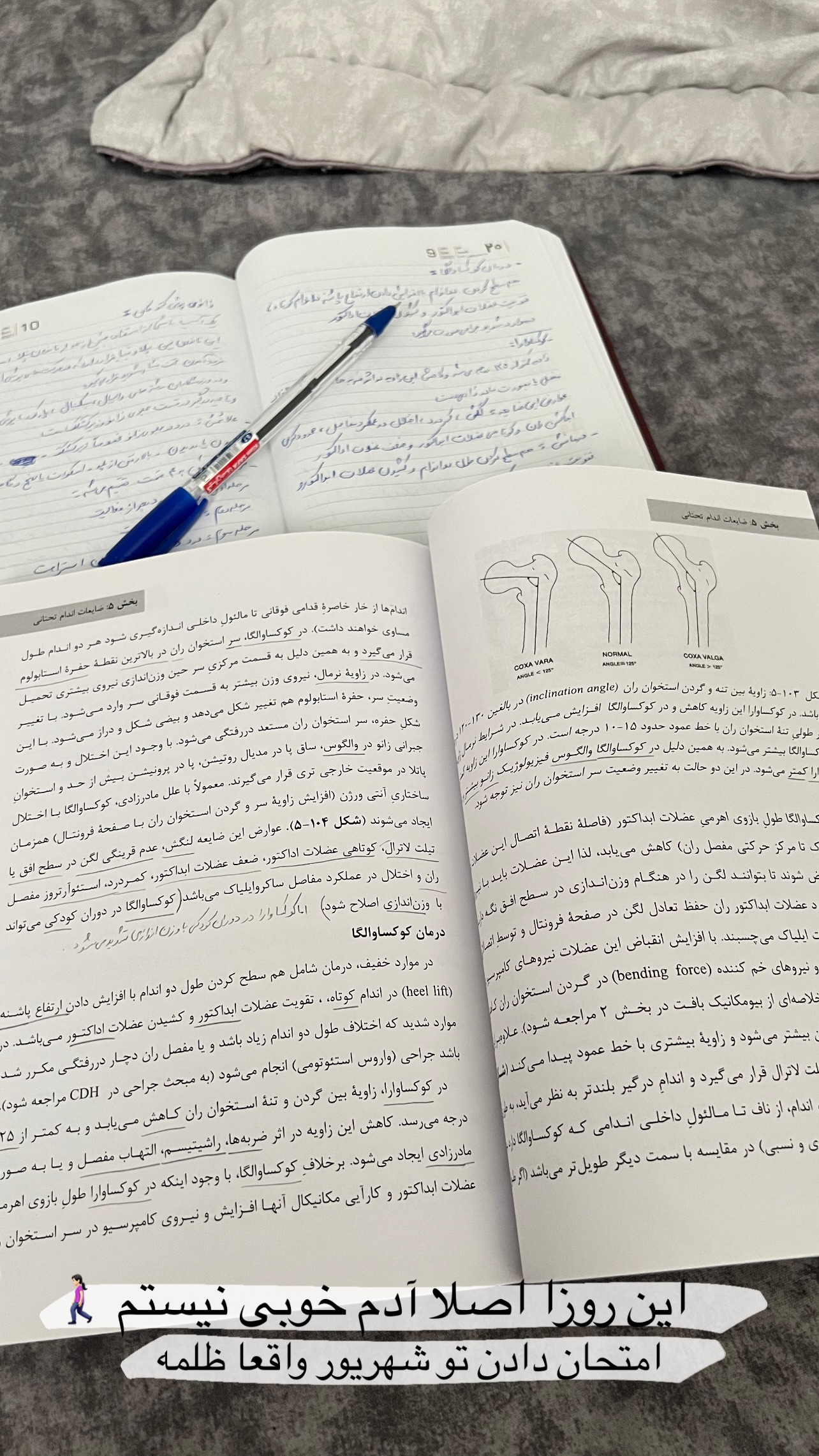  جدید ترین استوری اینستاگرام راهله نادری