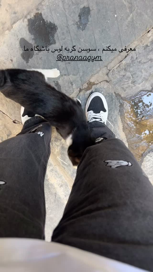 جدید ترین استوری اینستاگرام راهله نادری
