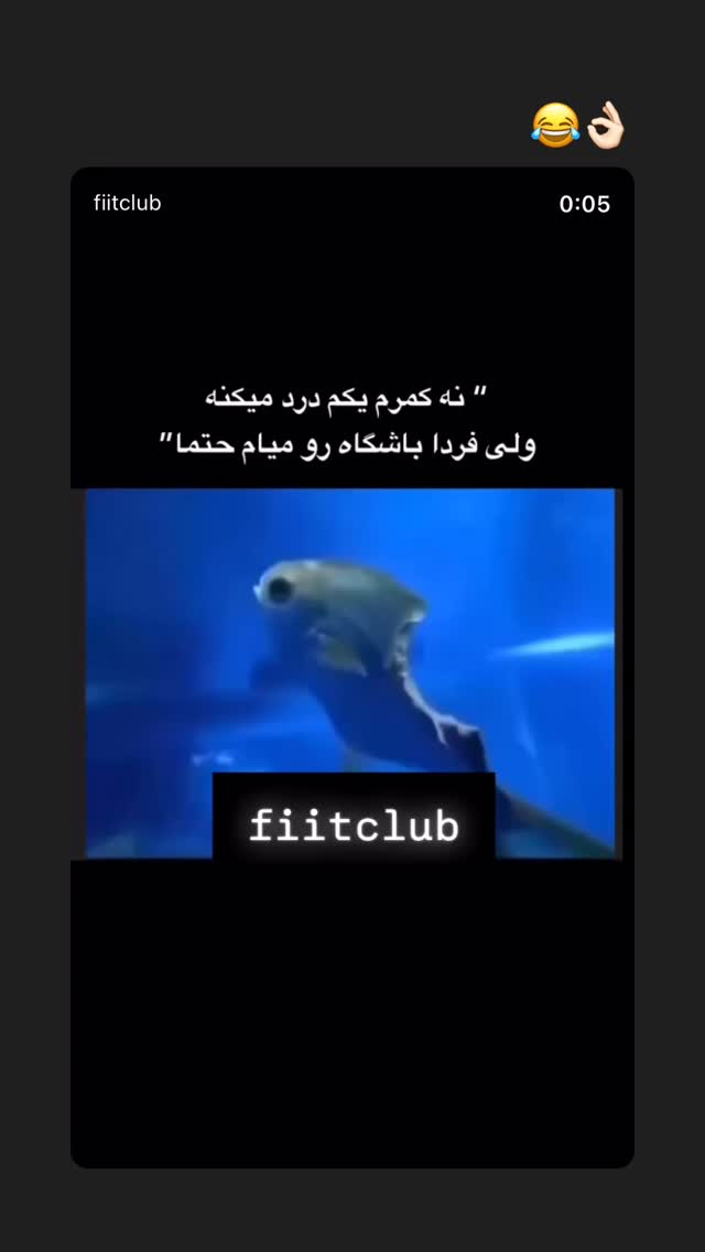  جدید ترین استوری اینستاگرام راهله نادری