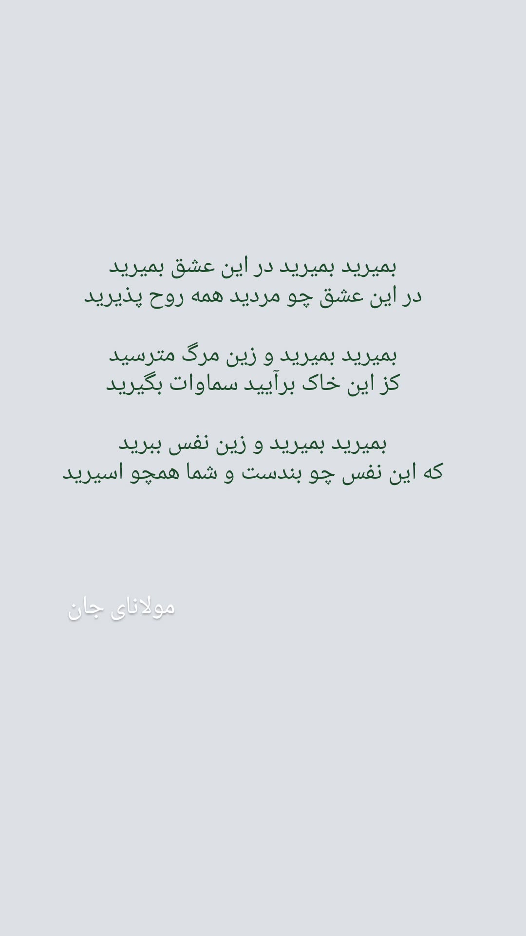  جدید ترین استوری اینستاگرام نیلوفر رجایی فر