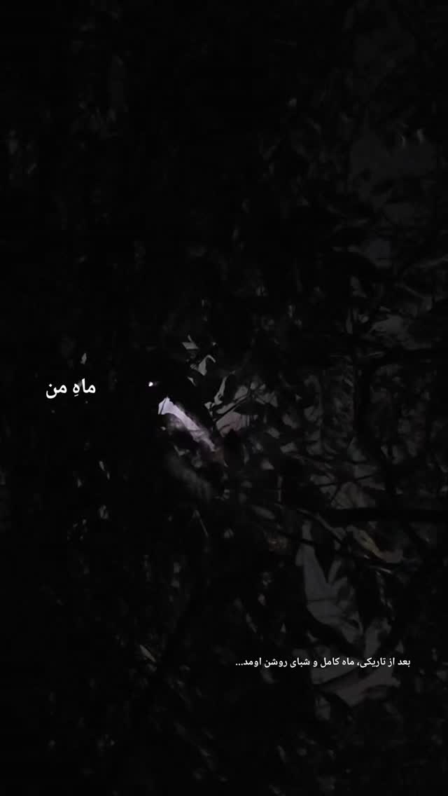  جدید ترین استوری اینستاگرام نیلوفر رجایی فر