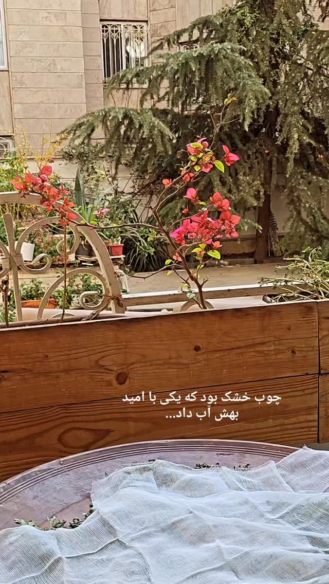  جدید ترین استوری اینستاگرام نیلوفر رجایی فر