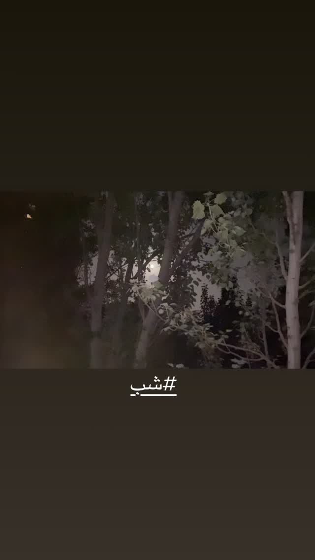  جدید ترین استوری اینستاگرام رسول صدرعاملی