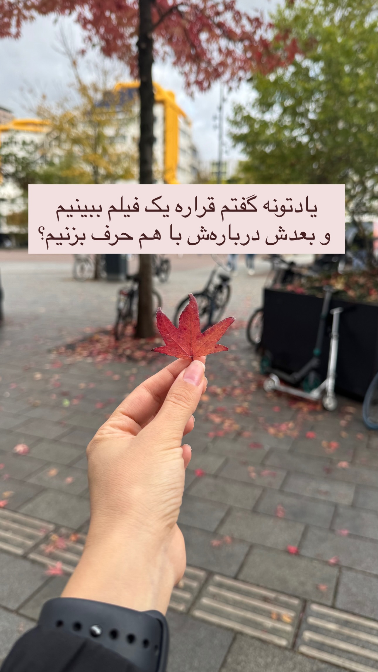  جدید ترین استوری اینستاگرام ریحان جعفری زاده
