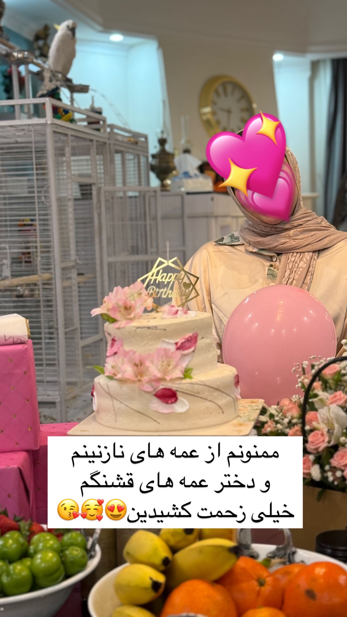  جدید ترین استوری اینستاگرام ریحانه سادات حسینی