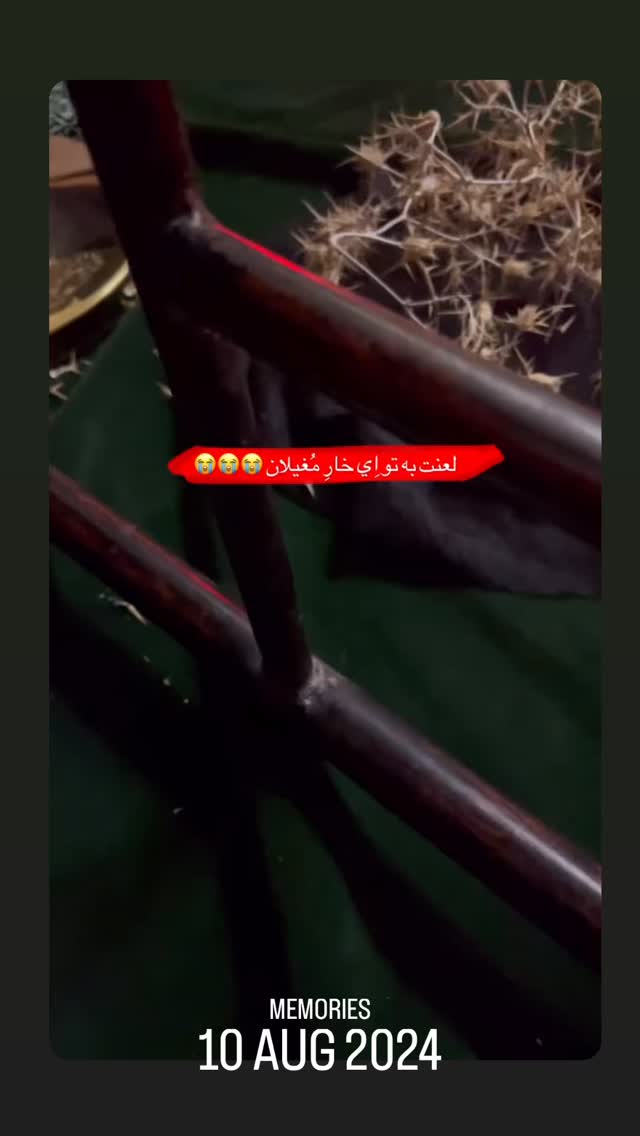  جدید ترین استوری اینستاگرام ریحانه سادات حسینی