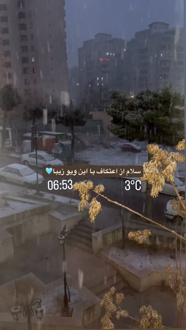  جدید ترین استوری اینستاگرام ریحانه سادات حسینی