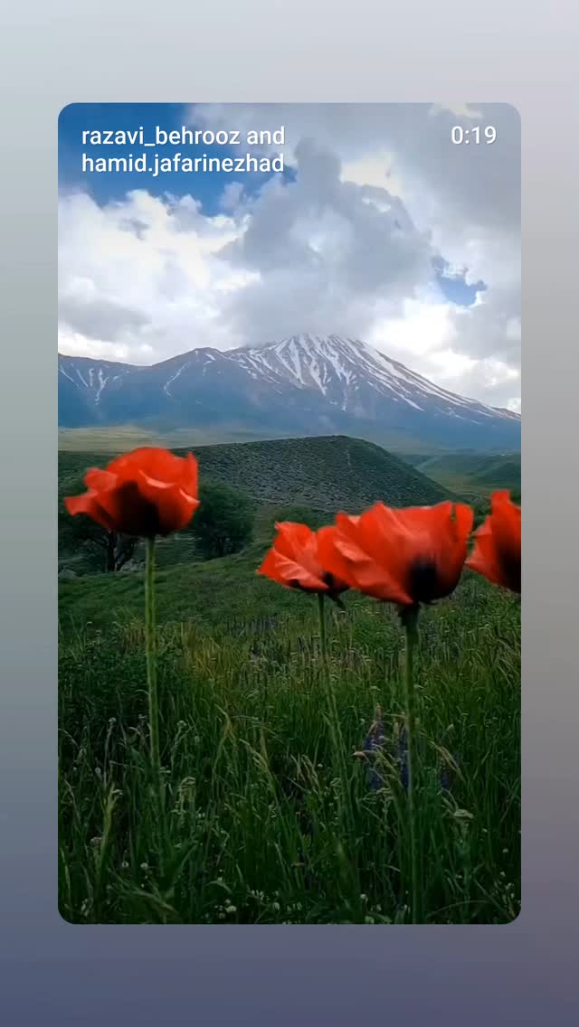  جدید ترین استوری اینستاگرام بهروز رضوی
