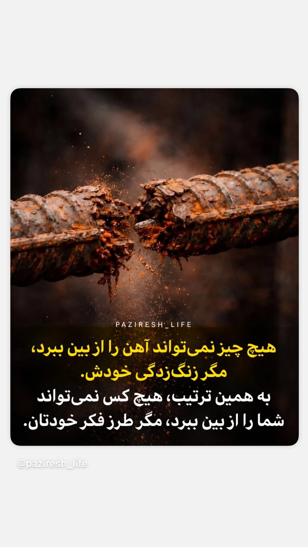  جدید ترین استوری اینستاگرام راضیه میرزایی