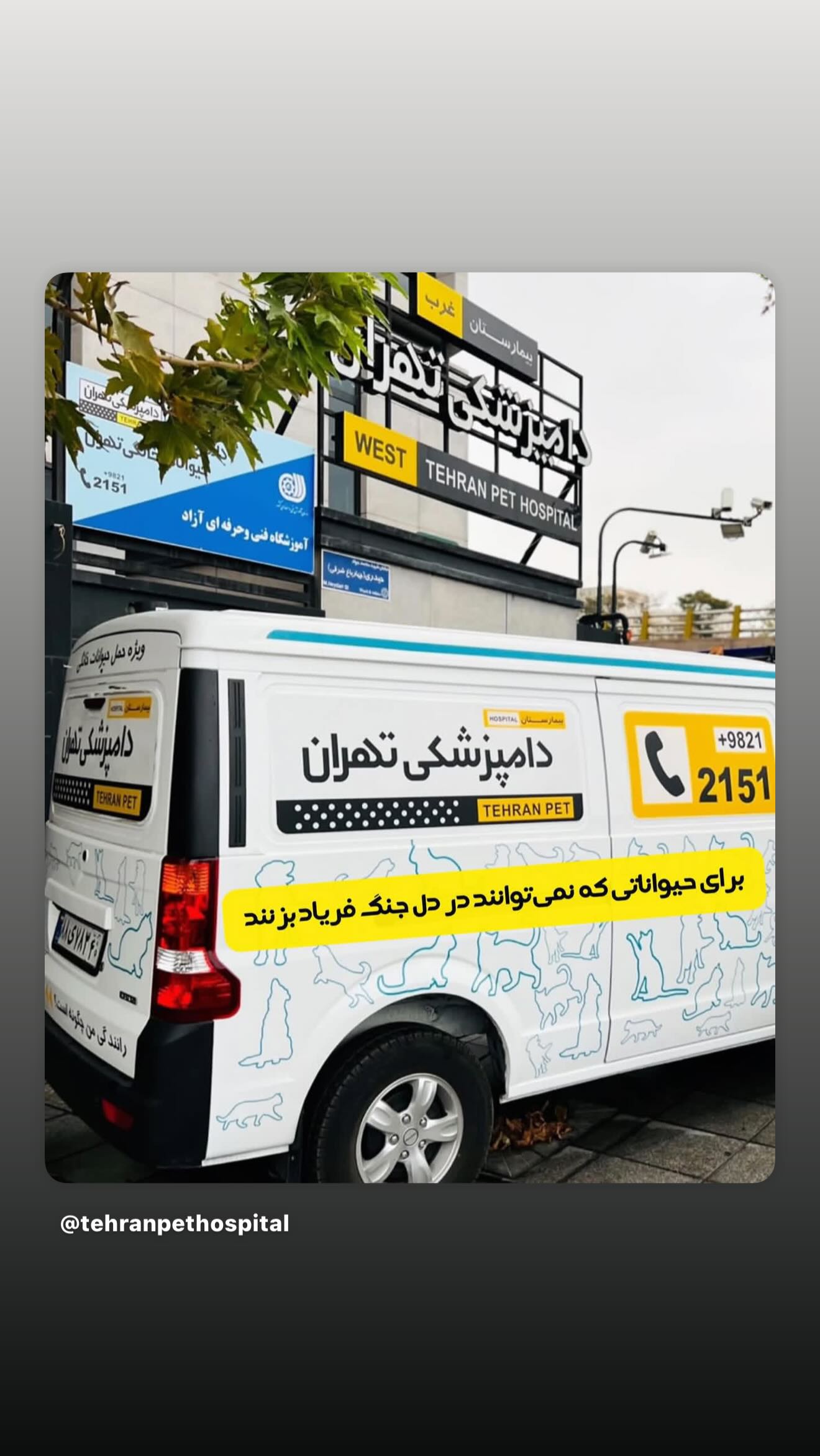  جدید ترین استوری اینستاگرام راضیه دهقان