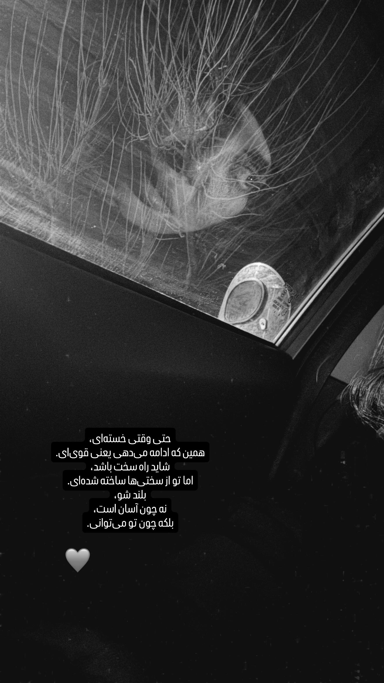  جدید ترین استوری اینستاگرام راضیه دهقان