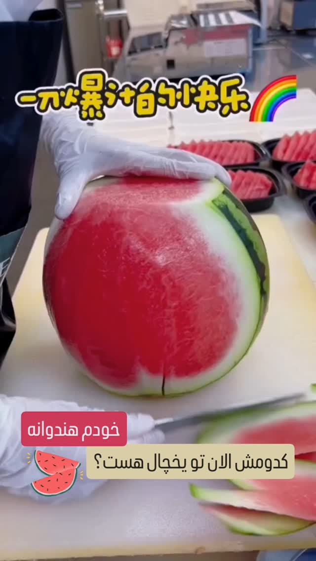  جدید ترین استوری اینستاگرام راضیه فهیمی