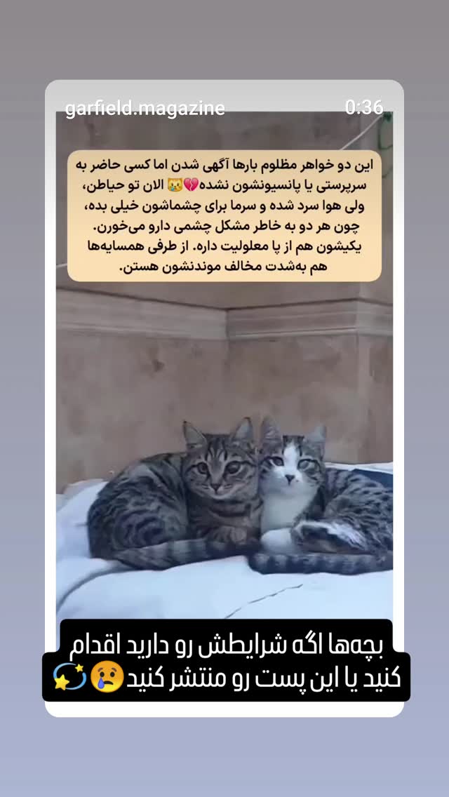  جدید ترین استوری اینستاگرام راضیه فهیمی