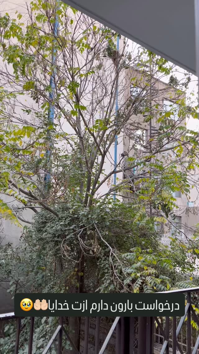  جدید ترین استوری اینستاگرام راضیه فهیمی