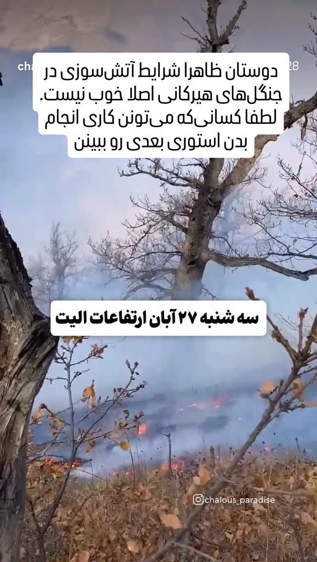  جدید ترین استوری اینستاگرام راضیه فهیمی