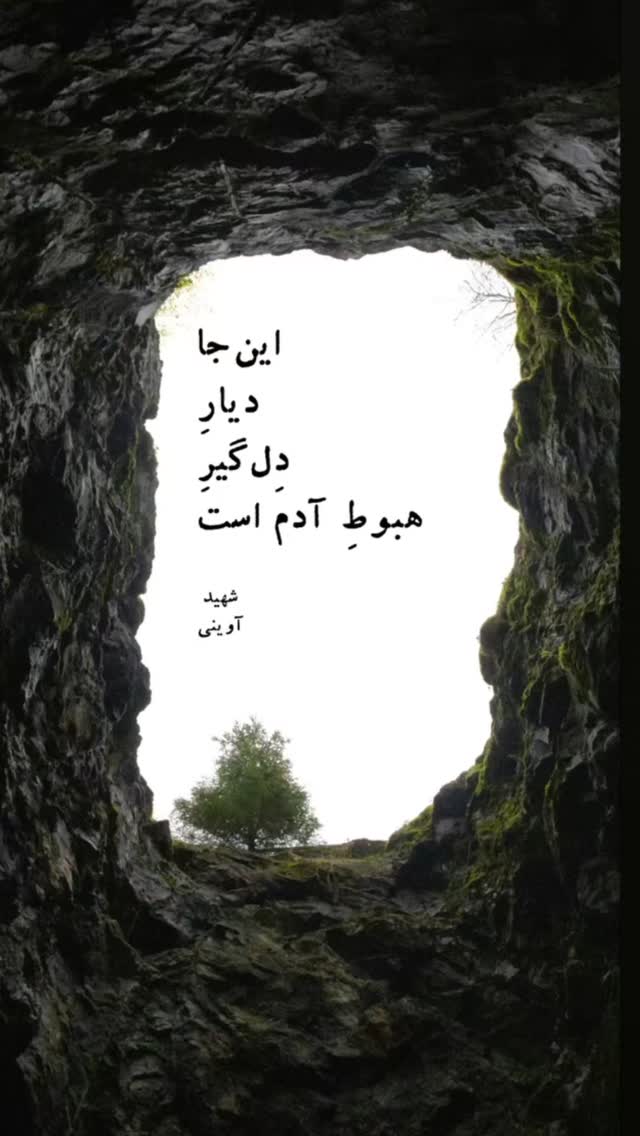  جدید ترین استوری اینستاگرام راضیه جباری