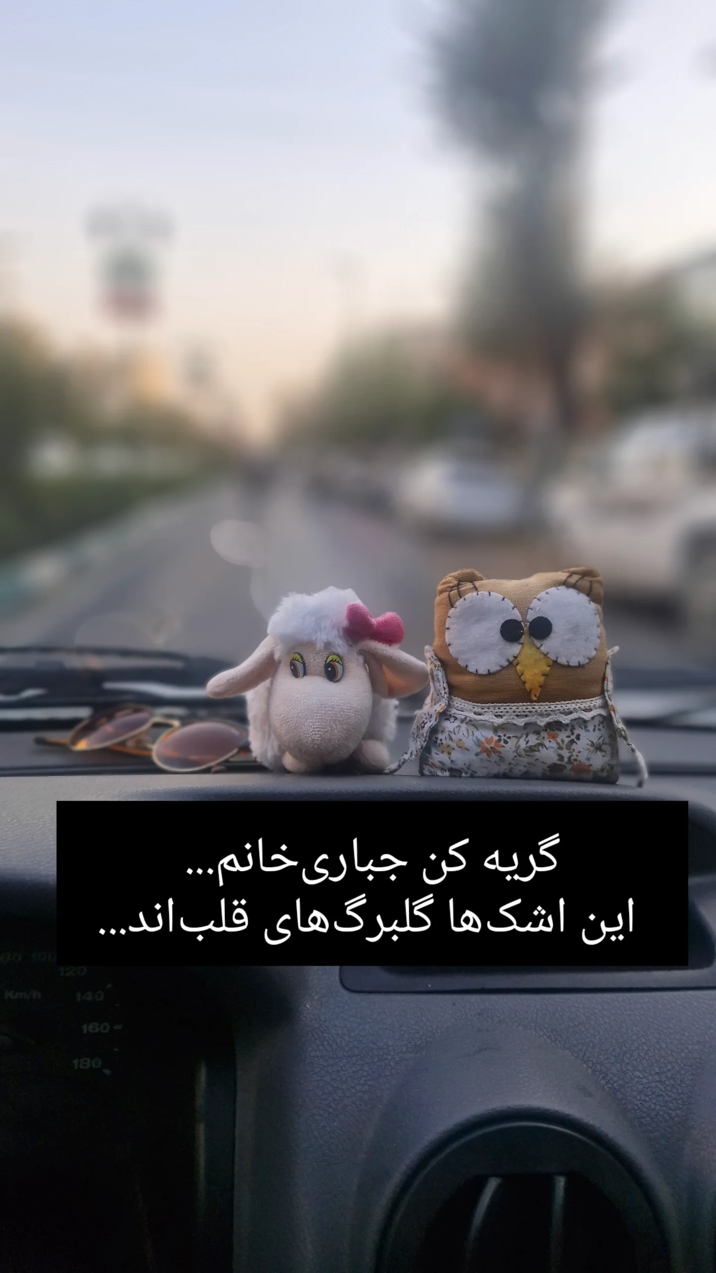  جدید ترین استوری اینستاگرام راضیه جباری