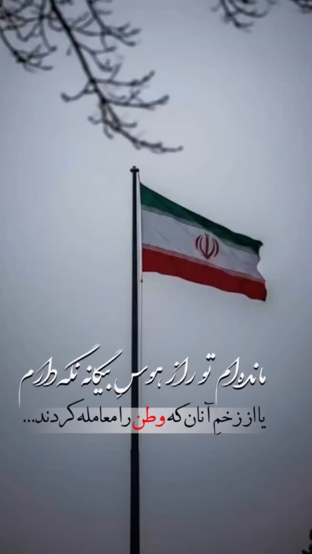 جدید ترین استوری اینستاگرام راضیه جباری