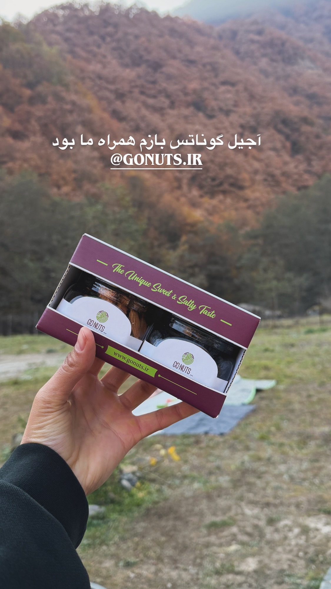  جدید ترین استوری اینستاگرام راضیه جانباز