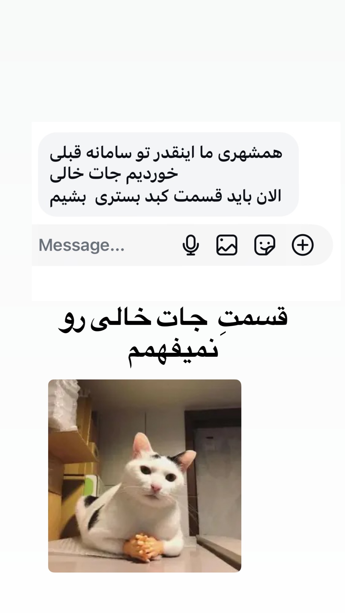  جدید ترین استوری اینستاگرام راضیه جانباز